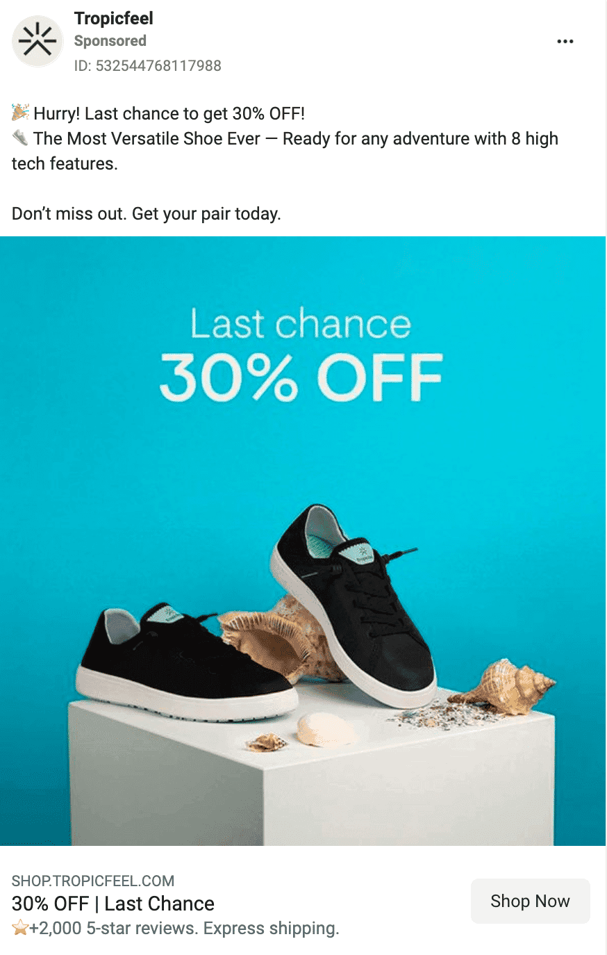 PPC ad sample on social media ads