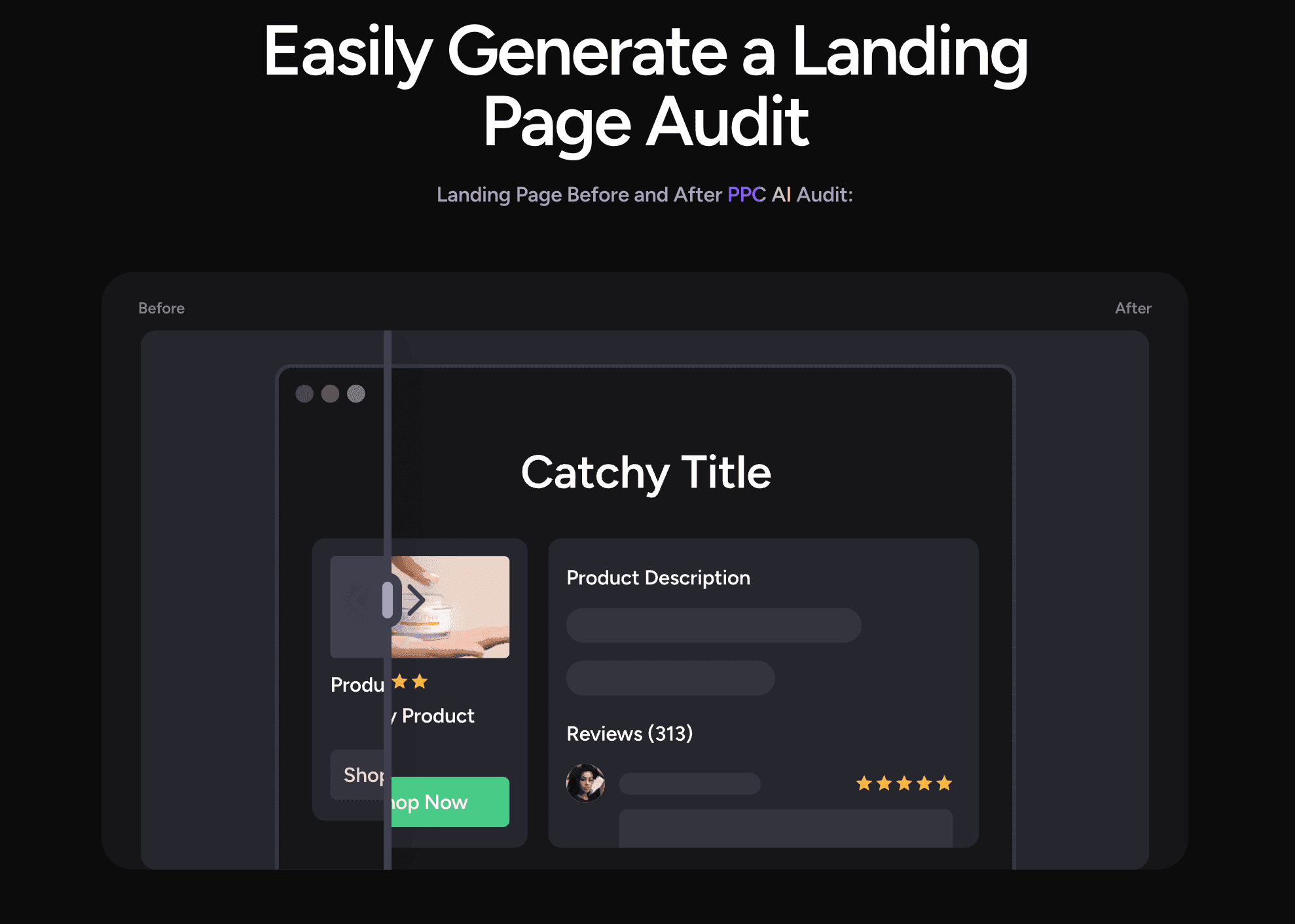 landing page audit analyzer ppc.io