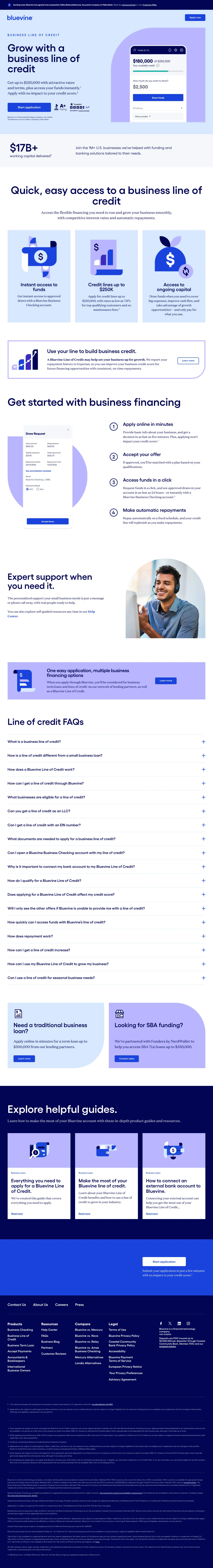 Financial landing page example from bluevine.com