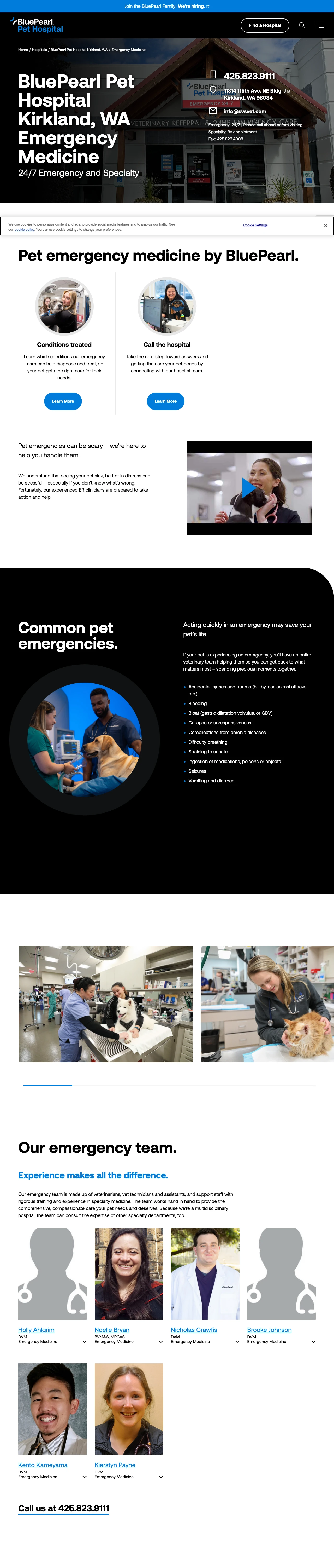 Veterinary Services landing page example